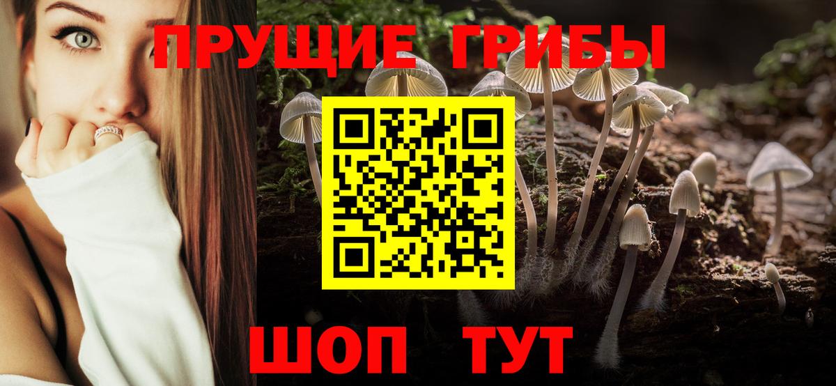 Галлюциногенные грибы ЛСД  Галлюциногенные грибы мухоморы  Котельники  где продают   Вход с VPN 